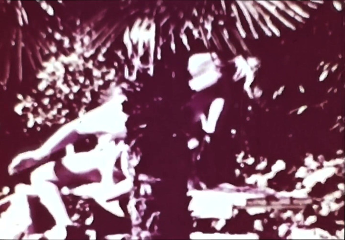 Close Encounter Vintage: Vintage porn retro erotic theatre - wild sex 5