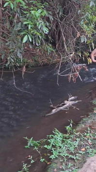 Orang asing kepergok di air terjun.