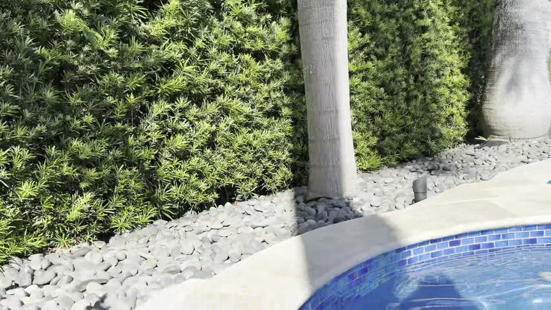 Teddy Tarantino: Jemný zadek Thick Booty Tatted White Girl - creampie u bazénu