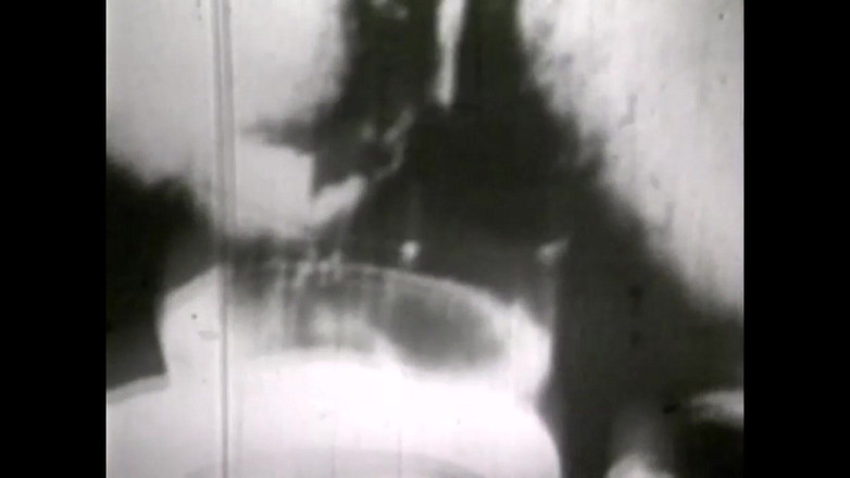 The Unforgettable: 性别永不改变