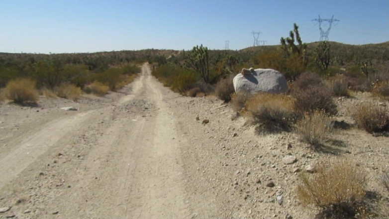 The porky pervert: Sega nel deserto con escursione 2