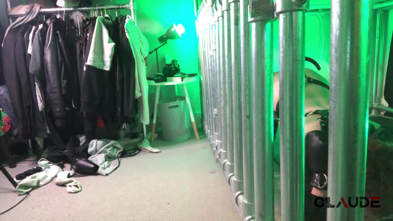 Claude Nikotine: Pup play in the cage