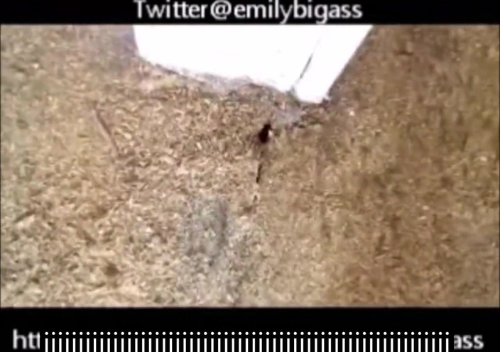 Fat Goddes: Arbeiten, nackter schneideboden vom chef erwischt teil 2