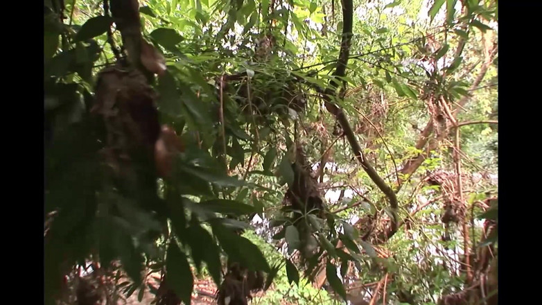 We love fucking XXX: Di ruang bawah tanah rahasia, wanita mendapatkan apa yang mereka...