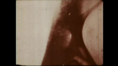 Vintage megastore: ピッグ・エキサイター