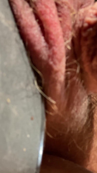 मेरे विशेष दोस्त से परिचय