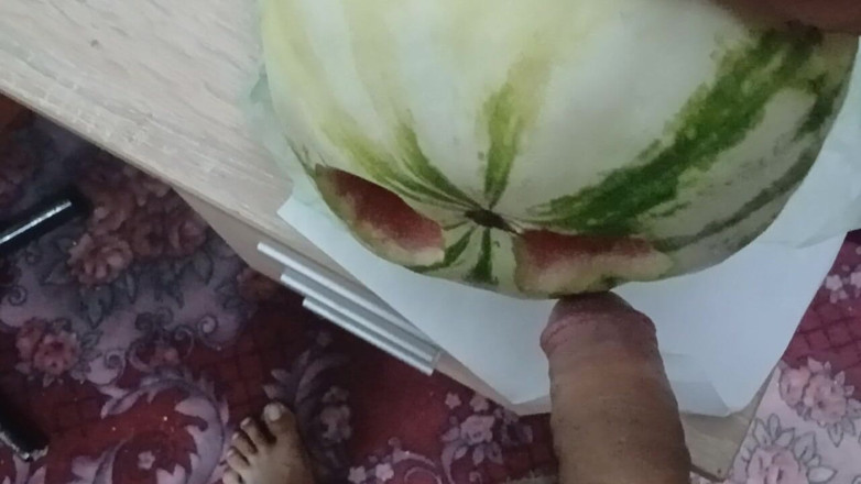 AlexCat: 에로틱한 포멜로