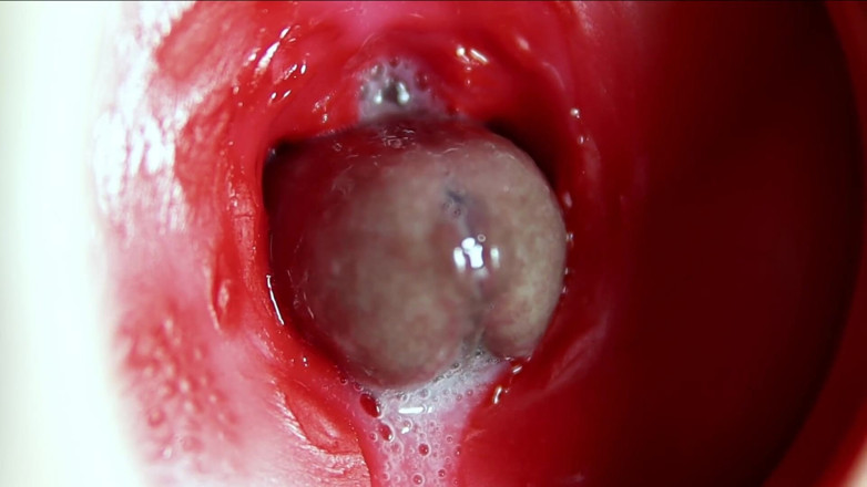 SEXY_GUYBEST: Orgasme besar di dalam dubur! Orgasme merintih yang hebat dan...