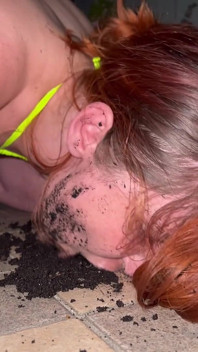 Mud, Licking Shoe, Toilet Washing