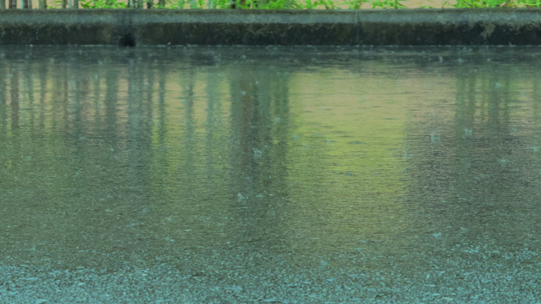WildLonelyFlower: Bare Legs in the Rain