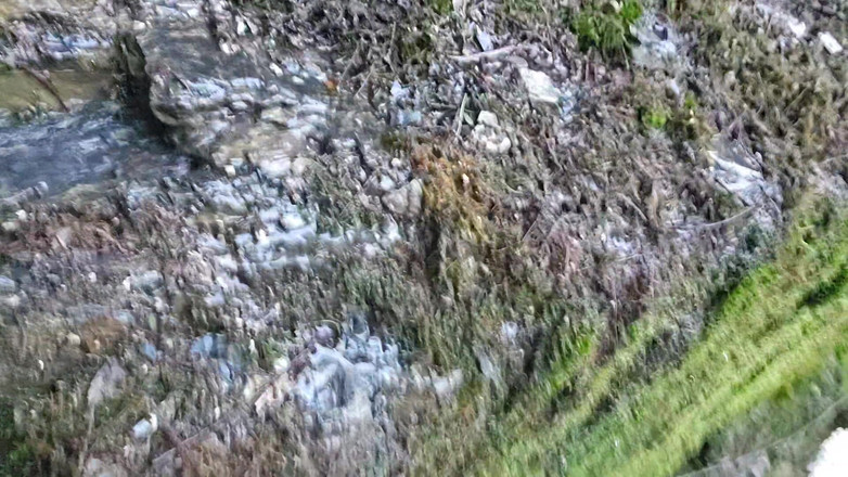 Nerdy_faery: 아이스 오줌 원정대