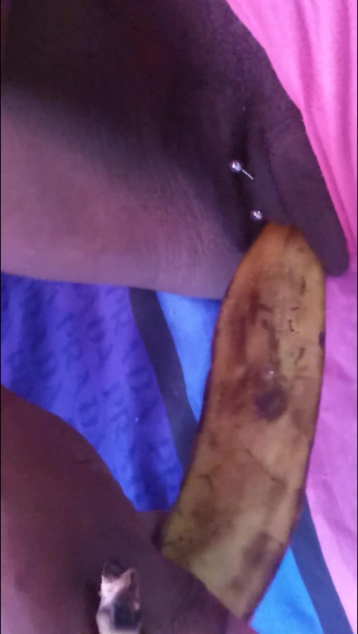Super sexy ebony cuties: Трахаю мою черную волосатую киску с бананом и стонущей оргазмы