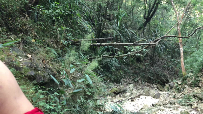 Lustybaby605: Nepálská lesní dobrodružství 2.4- Jungle Main Mangal