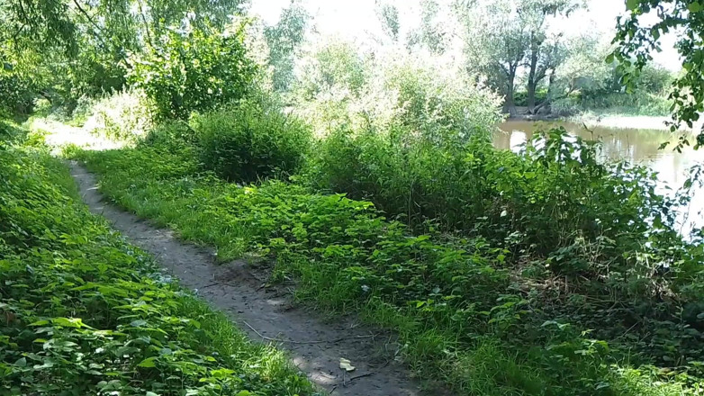 Assol: Due ragazze si sono fermati sul lato della strada per...