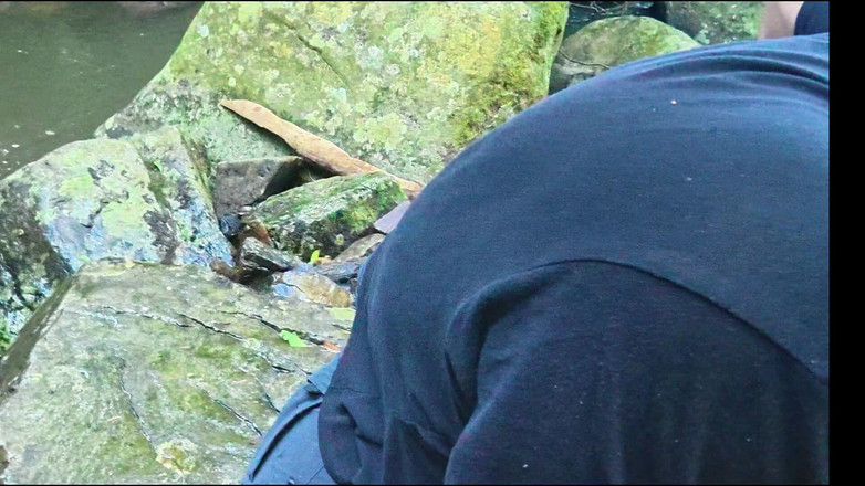 Black Swan: MILF dimakan dan dikongkek pepeknya di sungai