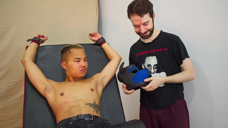 PSM Tickling: A Pet Eager to Be Tickled