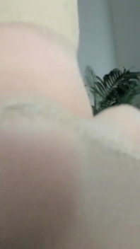 Nylon Socks