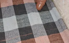 सुनीता भाभी की देसी चूत भारतीय सेक्स