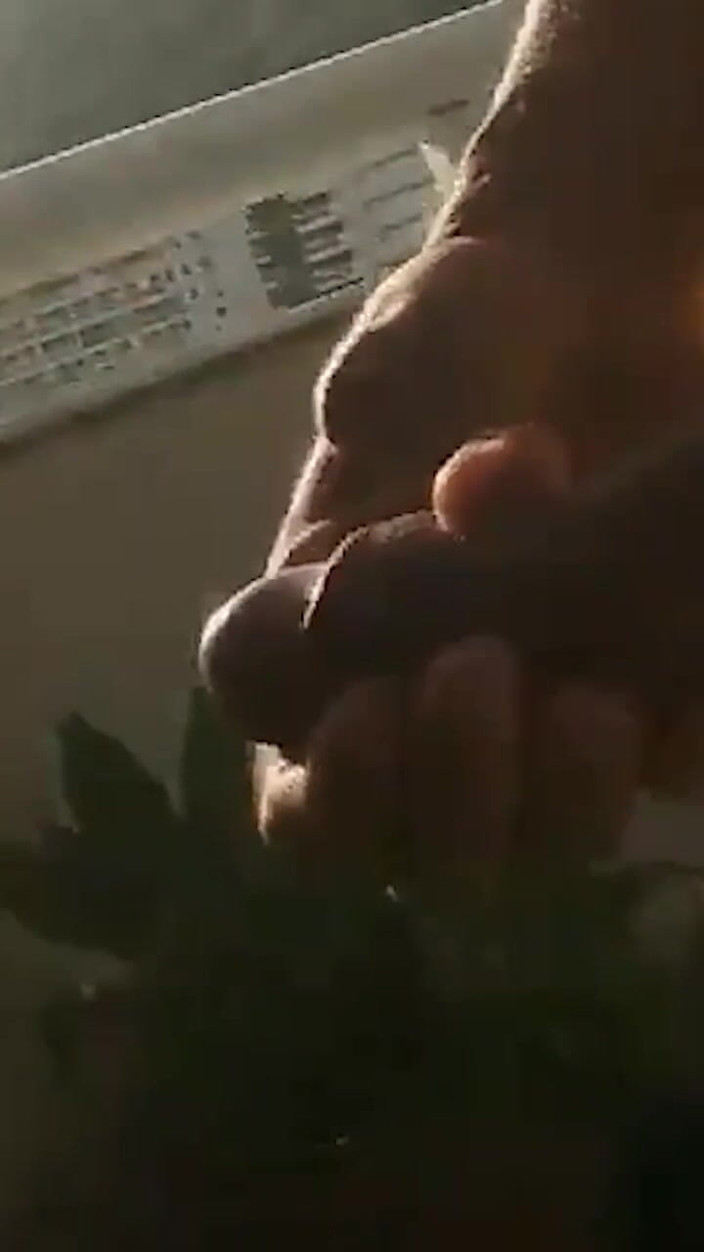 Vida Noite: Istri nyepong kontol di rumah pantai nudis