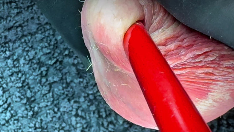 Leonardo-1974: Mina bollar straffas