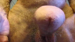 Mr hairy gardener: Speedofinal