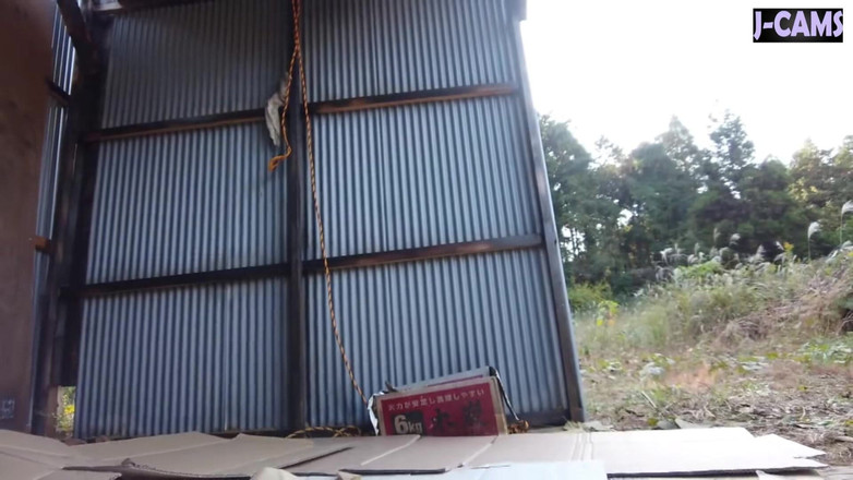 J-Cams: En djärv rosa kamrat förvandlar varje hett vårdatum till obegränsad...