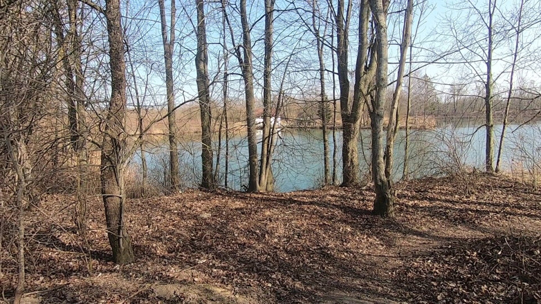 bekycarril: Outdoor blowjob at the lakes with cum in mouth and...