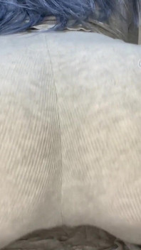 PAWg gemütliche