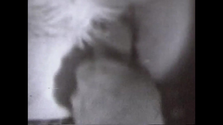 The Unforgettable: Die Haarigen Fotzen Von Gestern