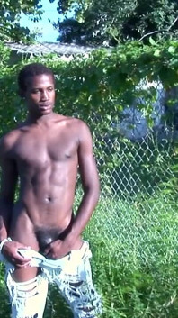 Sylk seksi