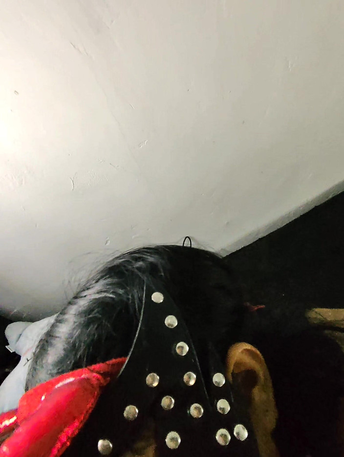 PABLO N3GROBAR: Ea diavolița are parte de o pizdă bună în gât