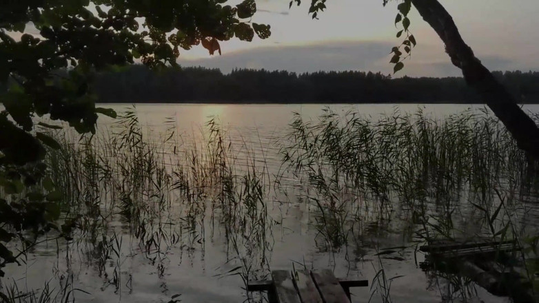 thelazycouple: Stepsister's Ass Filled with My Cum on the Lake