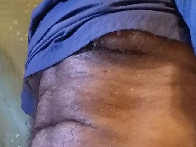 Doctorfinal (Mr hairy gardener)