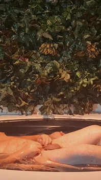Sfida All'ora Del Bagno- Controllo Dell'orso Nella Vasca