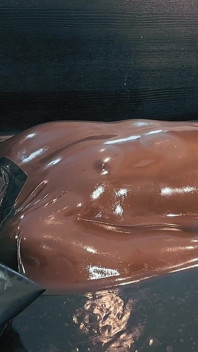 Unidad 13 - Vacbed Moanline