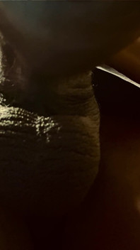 Cms Long Hard Dick