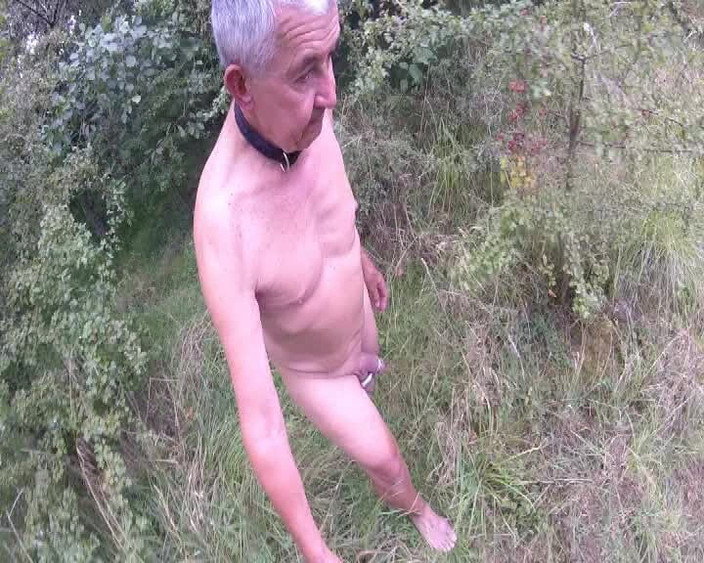 Andy: 衣领。球重量。戒指