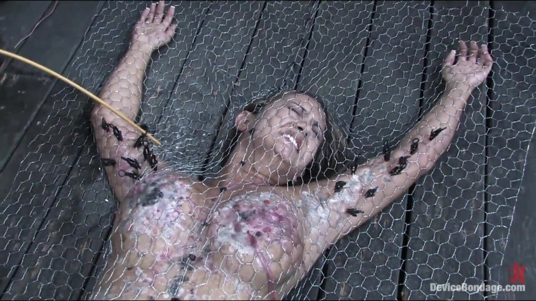 Device Bondage by Kink: Wydysane w