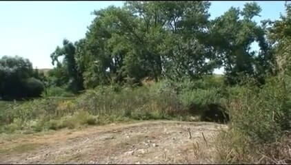 Out Sexxx: Mucche di campagna - Vacche di campagna DVD