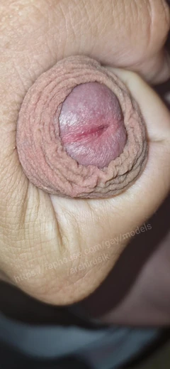 准备好不带避孕套的狂野性爱了，用大鸡巴在我屁股的狭窄洞里！我也和大鸡巴在一起！