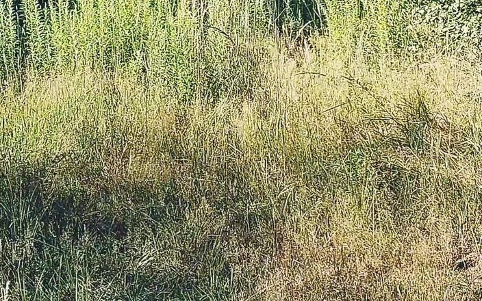 Amreis: जंगल वीर्य, अंतिम चरमसुख के साथ चलें