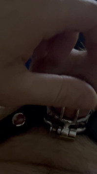 New to Chastity