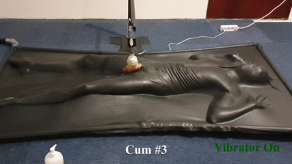 NL Milking: Milked by controlled vibrator in vacbed
