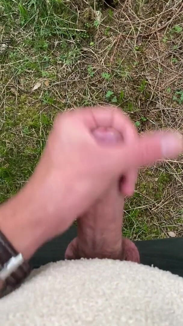 Zaharia: Mrdka v lese
