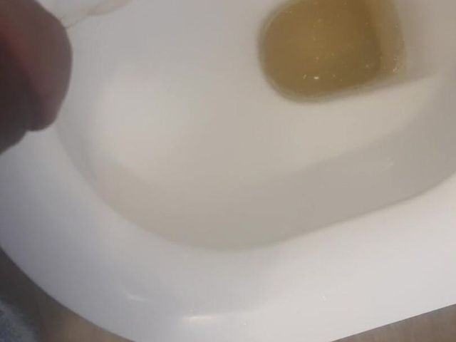 Pissing in Womens Toilet (PuppetDaddy)