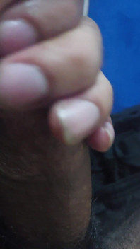 Desi kutas