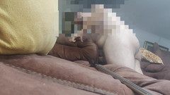 Dalorian 88: Couch Fuckingのコンピレーション