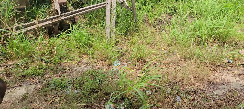 Switcock: セックス・イン・ザ・ブッシュ 鈍らせない