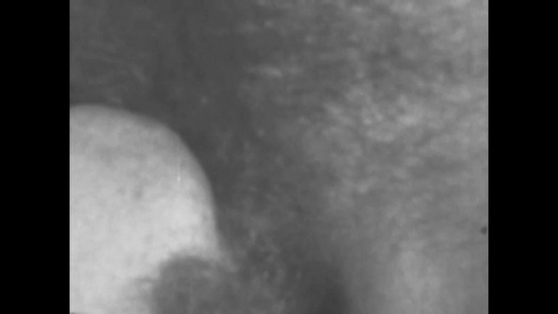 Vintage Usa: Волосатые киски чувственных женщин