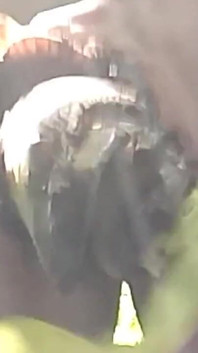 Ang Sikip Ng Butas Ng Puno Ng Saging Sarap Pala
